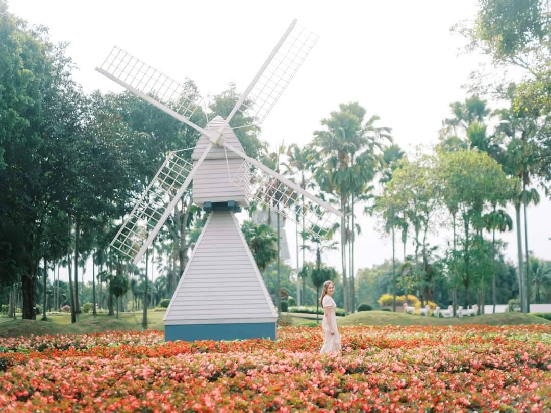 แอ่วสุขใจไอมิสยู ชมไม้ดอกเมืองหนาวหลากสี สุดตระการตา🌹🌼🌷🌺@อุทยานหลวงราชพฤกษ์  เชียงใหม่ ตลอดเดือนแห่งความรักนี้