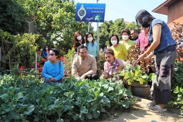 ผู้ว่าราชการจังหวัดเชียงใหม่ เปิดปฏิบัติการ "ปลูกผักสวนครัว เพื่อสร้างความมั่นคงทางอาหาร" และ โครงการ "ทางนี้มีผล ผู้คนรักกัน" ปี 2566 ที่ อำสันป่าตอง พบ ประชาชนได้รับประโยชน์เป็นอย่างมากจากการมีผักสวนครัวไว้กินเองและจำหน่าย ล่าสุด มีครัวเรือนเข้าร่วมโครงการแล้วกว่า 21,000 ครัวเรือน