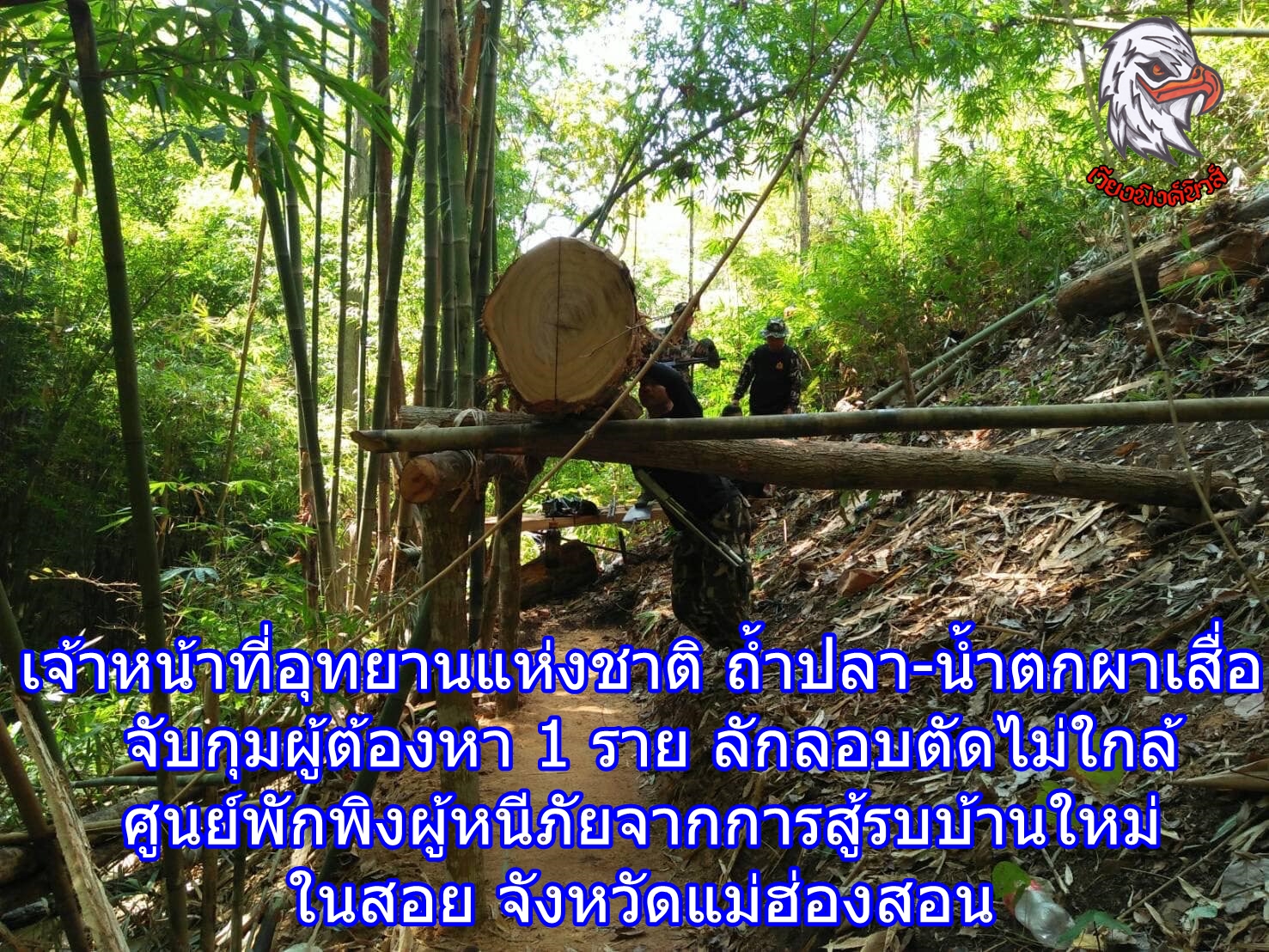 เจ้าหน้าที่อุทยานแห่งชาติ ถ้ำปลา-น้ำตกผาเสื่อ จับกุมผู้ต้องหา 1 ราย ลักลอบตัดไม่ใกล้ศูนย์พักพิงผู้หนีภัยจากการสู้รบบ้านใหม่ในสอย จังหวัดแม่ฮ่องสอน