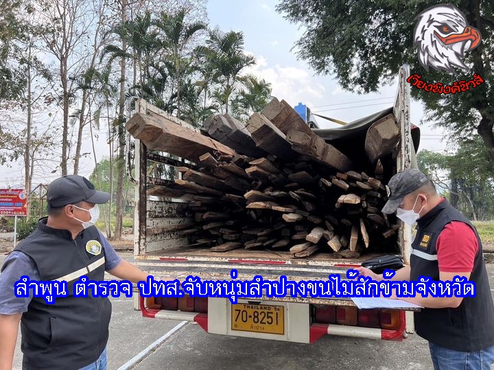 ลำพูน ตำรวจ ปทส.จับหนุ่มลำปางขนไม้สักข้ามจังหวัด