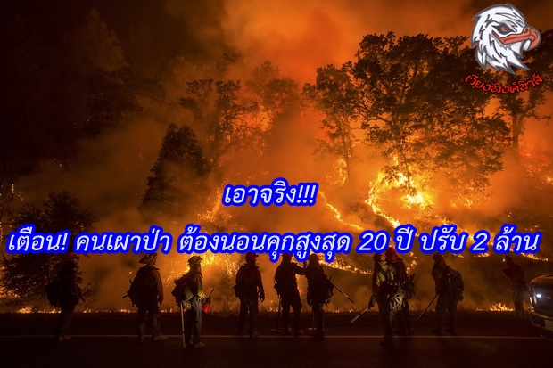 เตือน! คนเผาป่า ต้องนอนคุกสูงสุด 20 ปี ปรับ 2 ล้าน